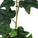 INBLOOM Опора для растений, 0.5х40см, 40шт, бамбук