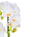 INBLOOM Цветок искусственный Орхидея 1м в кашпо, латекс, пластик