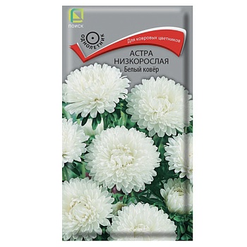 астра низкорослая белый ковер 0,2гр от магазина Барс