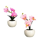 ladecor светильник в виде орхидей в керамическом горшке, 12,2x12,2x19см, 1хcr2032, 2 цвета