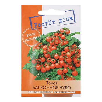томат балконное чудо 5 шт от магазина Барс