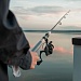 Спиннинг "Ренегад" тм AZOR FISHING, штекерный, карбон, 2,4м, тест 5-25гр.