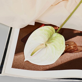 цветы искусственные "антуриум" 60 см, пластик, белый, 7510198