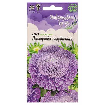 семена астра пампушка голубичная, однолетняя (помпонная) 0,3 гр, серия лавандовые грёзы от магазина Барс