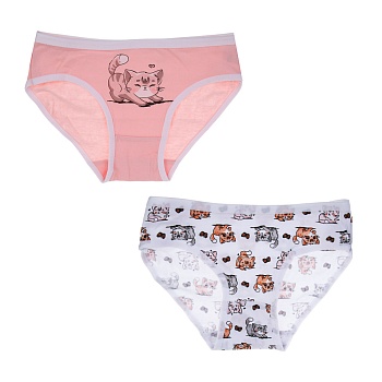 galante трусы-слипы для девочек 2 шт, р.98-104, 95%хлопок, 5%спандекс, разноцветный, нб25-23