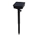 INBLOOM Гирлянда на солн.батарее, 25LED, 7м, шампань, 2 реж, цветок, ПВХ зел, 2V80mA, 1.2V600mAh