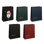 пакет подарочный бумажный тм сноу бум 26x32x10см, ручк шнур 5диз, 190гр/м2 мужской нг