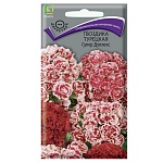 гвоздика турецкая супер дуплекс 0,3гр от магазина Барс