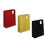 пакет тм fntastic подарочный, с шильдиком, 40x30x12см, бумага, арт.13, 3 дизайна