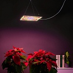 inbloom подвесная фитолампа 169led (w28; y84; r41; b8; g8), 25х25см, 45вт, 220в (24в), ip20 от магазина Барс
