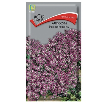 алиссум розовая королева 0,3гр от магазина Барс