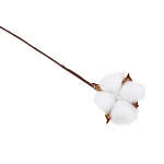 ladecor ветка декоративная с хлопком, 57 см, пластик, проволочная основа от магазина Барс