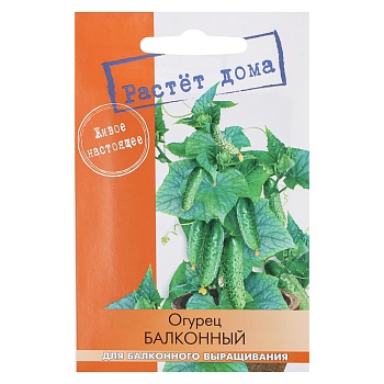 огурец балконный 5 шт от магазина Барс