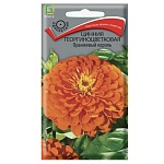 цинния георгиноцветковая оранжевый король 0,4гр от магазина Барс