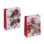 пакет подарочный бумажный тм сноу бум 16x12x5,5см, 2 дизайна