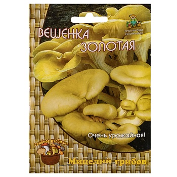 мицелий грибов вешенка золотая/лимонная 12шт от магазина Барс