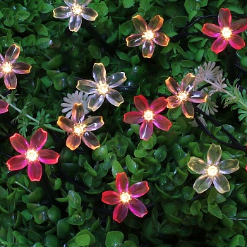 inbloom гирлянда на солн. батарее, 25led, 7м, шампань, 2 реж, сакура, пвх зел, 2v80ma, 1.2v600mah от магазина Барс