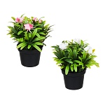 ladecor цветочная композиция в горшке, зелень с цветами, 14 см, пластик, 2 цвета от магазина Барс