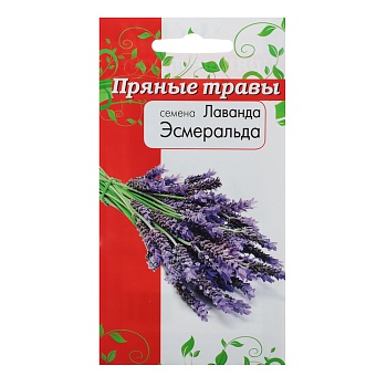 семена лаванда 0,05 гр от магазина Барс