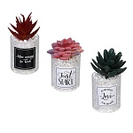 ladecor суккулент искусственный, 5х9-11 см, пластик, 3 дизайна