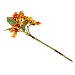 LADECOR Букет декоративных ягод, пластик, 22 см, 4 цвета